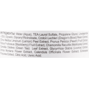 Holy Land YOUTHFUL GEL CLEANSER Очищуючий гель