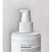 Holy Land RENEW FORMULA 3 in 1 SOAP, CLEANSER, TONER Клинзер 3 в 1